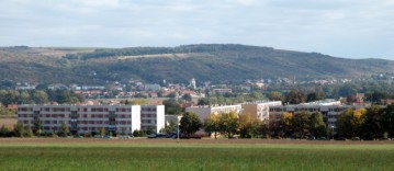 Pohled na Hrušovany a Výhon
