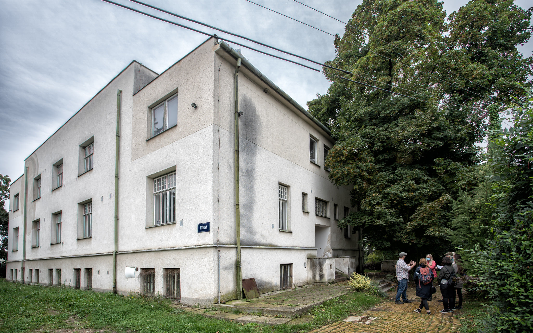 Loosova vila