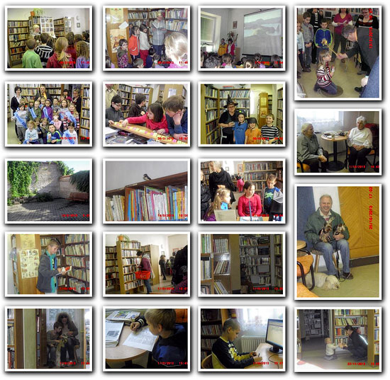 knihovna2013
