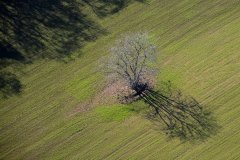 img00016.jpg