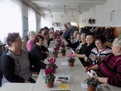 DSCN0669.JPG