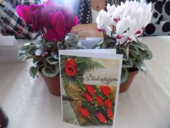 DSCN0675.JPG