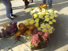 DSCN2701.JPG