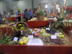 DSCN2719.JPG