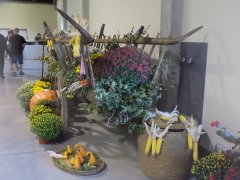 DSCN2735.JPG