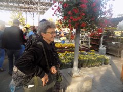 DSCN2747.JPG