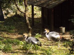 DSCN1947.JPG