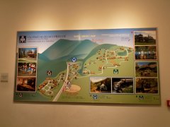 DSCN0203.JPG