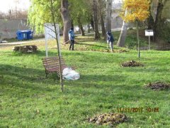 IMG_1682.JPG