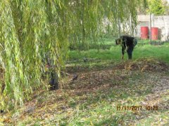 IMG_1684.JPG