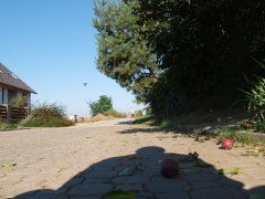img00005.jpg