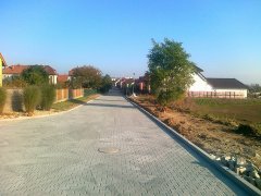 img00013.jpg