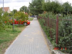 img00003.jpg