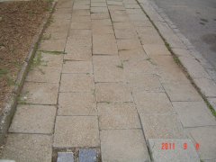 img00006.jpg