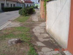 img00002.jpg
