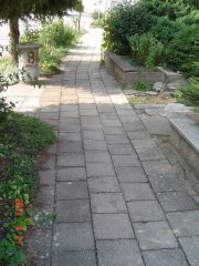 img00003.jpg