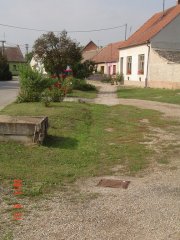 img00005.jpg