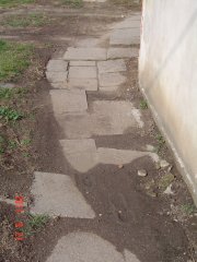 img00007.jpg