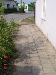 img00008.jpg