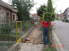 img00010.jpg