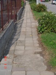 img00005.jpg
