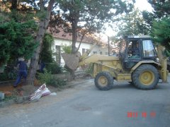 img00011.jpg