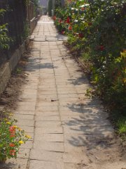 img00004.jpg