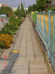 img00005.jpg