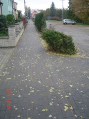 img00006.jpg