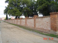 img00005.jpg