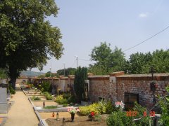 img00006.jpg