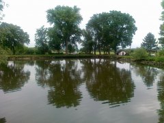 img00003.jpg