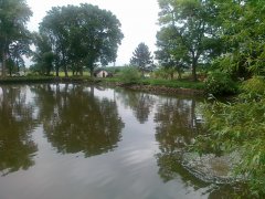 img00004.jpg