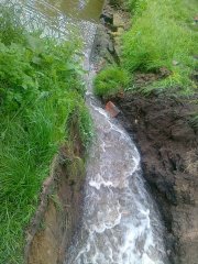 img00006.jpg
