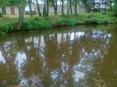 img00007.jpg