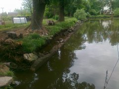 img00008.jpg
