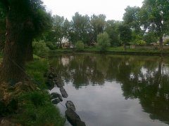 img00011.jpg