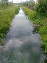 img00012.jpg