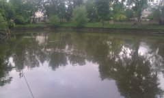 img00016.jpg