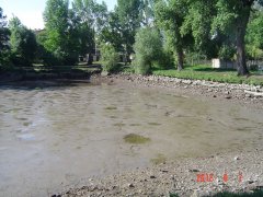 img00019.jpg