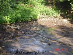 img00029.jpg