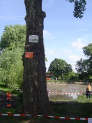 img00030.jpg