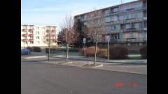 img00008.jpg