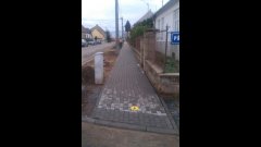 img00013.jpg
